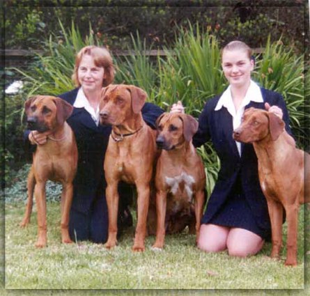 Chilolo sales rhodesian ridgebacks